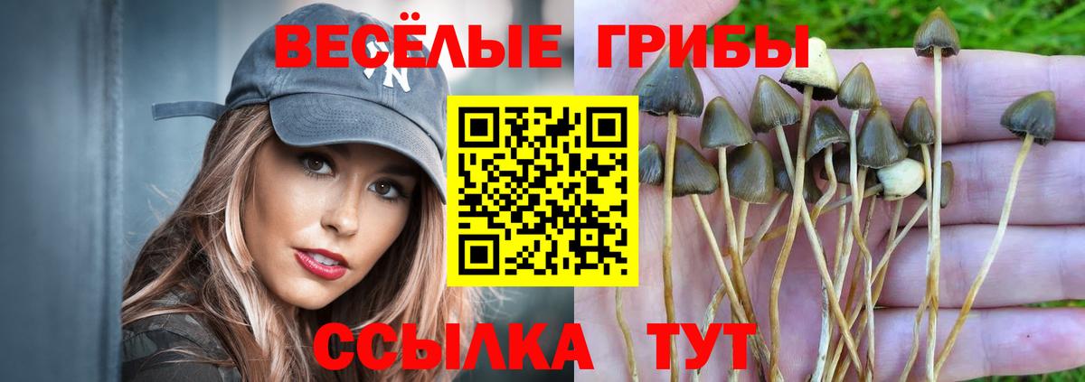 Псилоцибиновые грибы MAGIC MUSHROOMS  Вход с VPN  Галлюциногенные грибы мухоморы  Ульяновск 